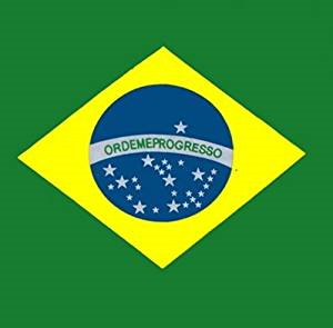 Brazil flag cotton bandanna