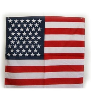 American Flag Bandanna 22x22