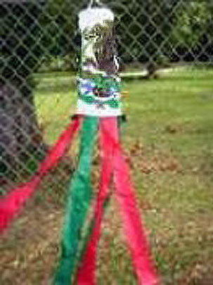 Mexican Flag Windsock