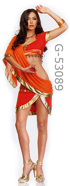 Bollywood Beauty 2-pc. Dancer Costume 53089