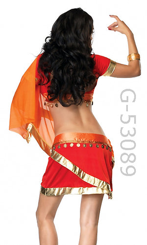 rear view of Bollywood Beauty India costume 53089
