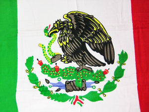 close up of Mexican flag beach towel 084