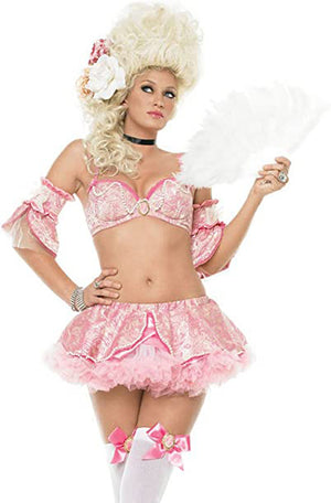 close up of Lady Marie Antoinette 4-piece adult costume 53044