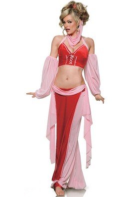 I Dream of Jeannie Genie 4-piece sexy Halloween party costume 83156