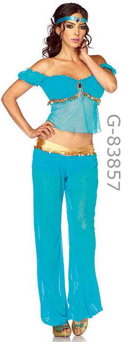 Arabian Beauty Harem Girl 3-pc. Costume 83857