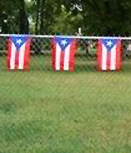 Puerto Rico Flag Bunting